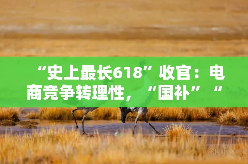 “史上最长618”收官：电商竞争转理性，“国补”“闪购”成亮点