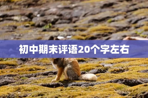 初中期末评语20个字左右