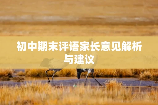初中期末评语家长意见解析与建议