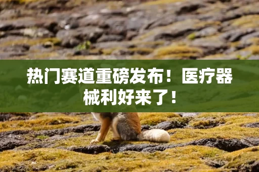 热门赛道重磅发布！医疗器械利好来了！