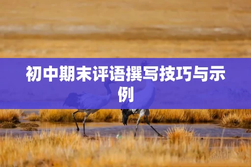 初中期末评语撰写技巧与示例