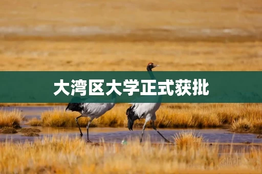 大湾区大学正式获批