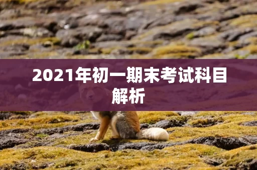 2021年初一期末考试科目解析