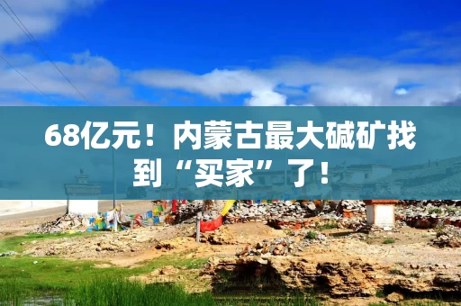 68亿元！内蒙古最大碱矿找到“买家”了！