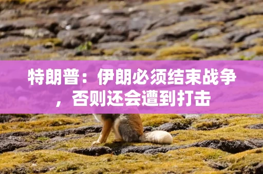 特朗普：伊朗必须结束战争，否则还会遭到打击