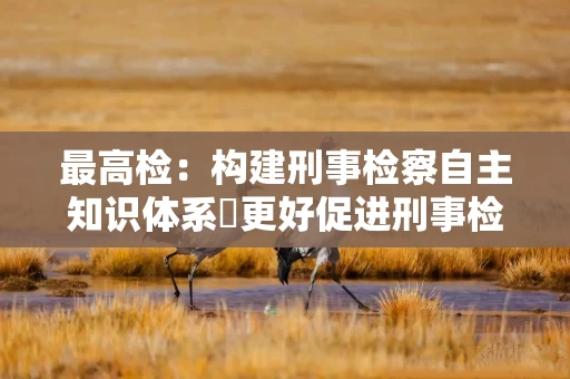 最高检：构建刑事检察自主知识体系 更好促进刑事检察发展