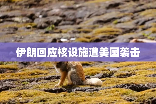 伊朗回应核设施遭美国袭击