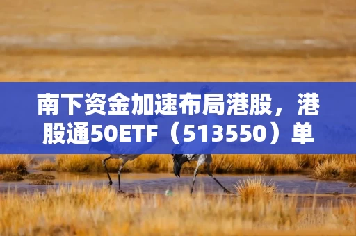 南下资金加速布局港股，港股通50ETF（513550）单日净流入创年内新高