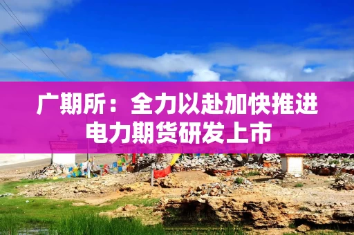 广期所：全力以赴加快推进电力期货研发上市