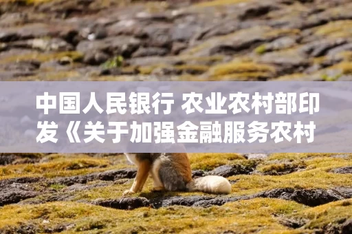 中国人民银行 农业农村部印发《关于加强金融服务农村改革 推进乡村全面振兴的意见》（全文）