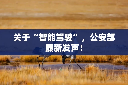 关于“智能驾驶”，公安部最新发声！