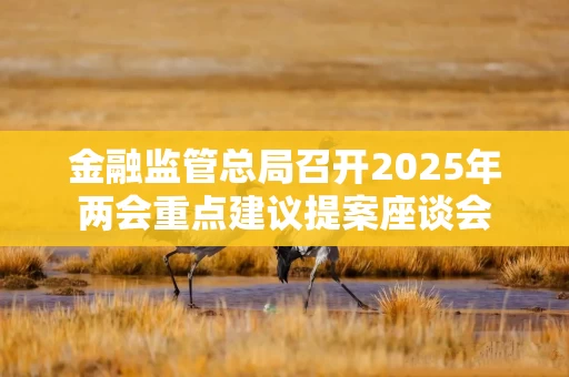 金融监管总局召开2025年两会重点建议提案座谈会