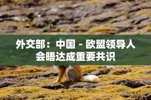 外交部：中国－欧盟领导人会晤达成重要共识