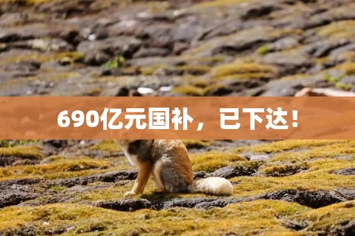 690亿元国补，已下达！