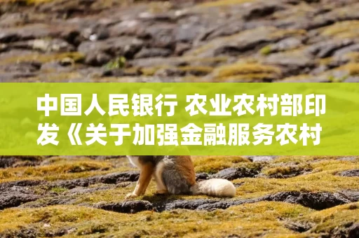 中国人民银行 农业农村部印发《关于加强金融服务农村改革 推进乡村全面振兴的意见》