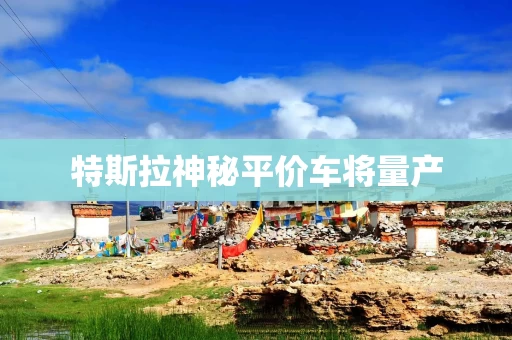 特斯拉神秘平价车将量产