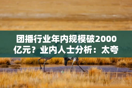 团播行业年内规模破2000亿元？业内人士分析：太夸张，2025年最多到150亿元