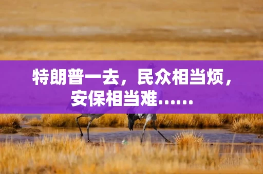 特朗普一去，民众相当烦，安保相当难……