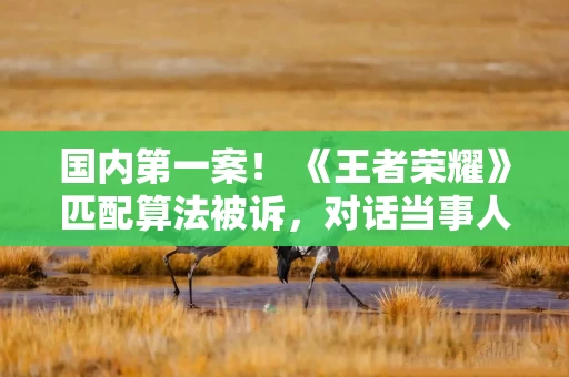 国内第一案！ 《王者荣耀》匹配算法被诉，对话当事人！