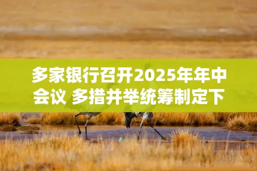 多家银行召开2025年年中会议 多措并举统筹制定下半年“施工图”优结构、提效益、防风险是关键词