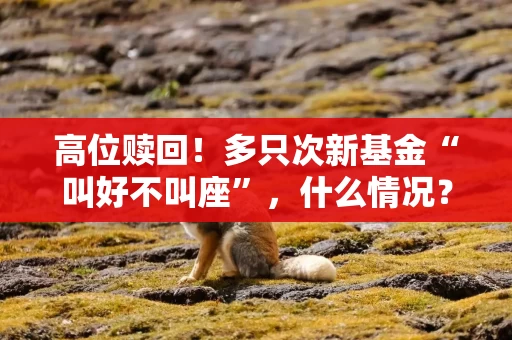 高位赎回！多只次新基金“叫好不叫座”，什么情况？