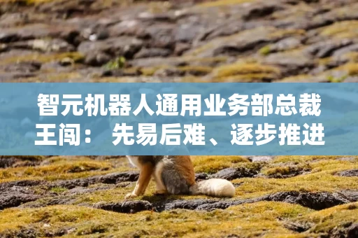 智元机器人通用业务部总裁王闯： 先易后难、逐步推进 促进人形机器人应用稳扎稳打