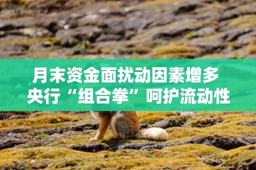 月末资金面扰动因素增多 央行“组合拳”呵护流动性