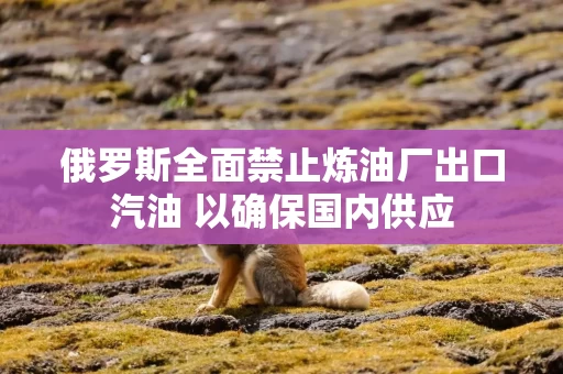 俄罗斯全面禁止炼油厂出口汽油 以确保国内供应