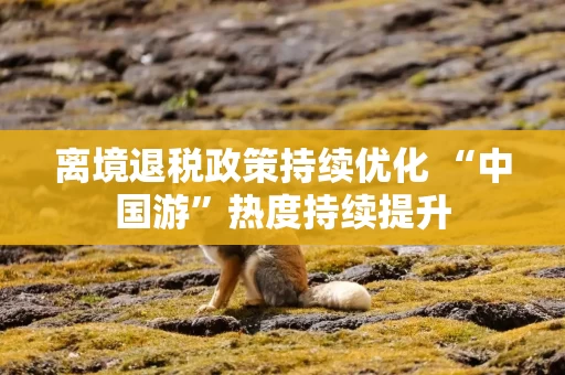 离境退税政策持续优化 “中国游”热度持续提升