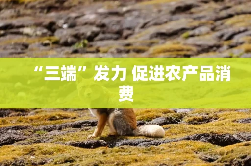 “三端”发力 促进农产品消费