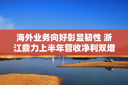 海外业务向好彰显韧性 浙江鼎力上半年营收净利双增