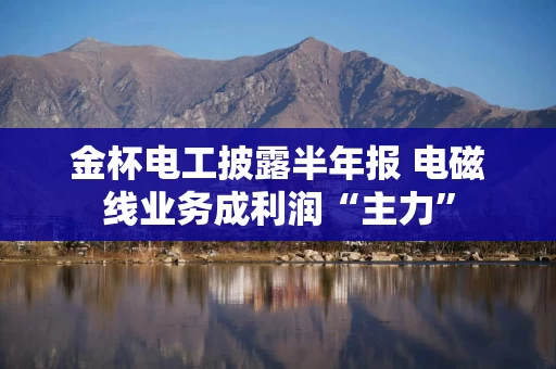 金杯电工披露半年报 电磁线业务成利润“主力”