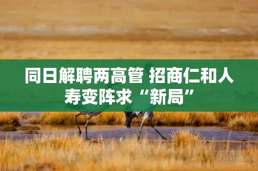 同日解聘两高管 招商仁和人寿变阵求“新局”