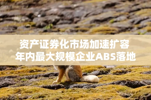 资产证券化市场加速扩容 年内最大规模企业ABS落地