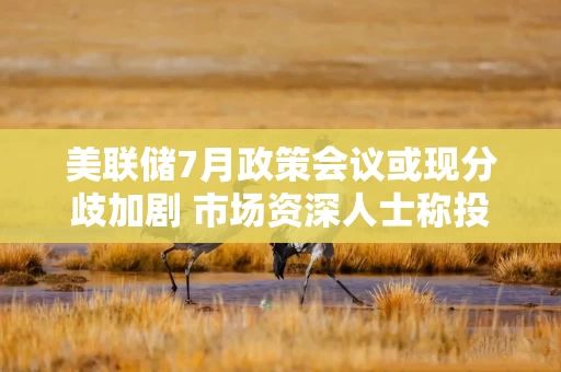 美联储7月政策会议或现分歧加剧 市场资深人士称投资者无需做出反应