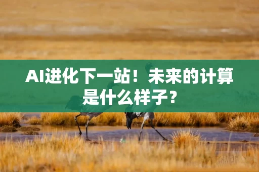 AI进化下一站！未来的计算是什么样子？