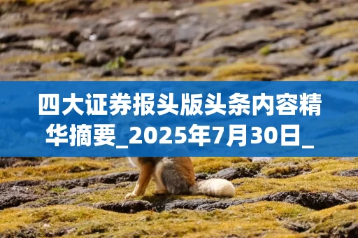 四大证券报头版头条内容精华摘要_2025年7月30日_财经新闻