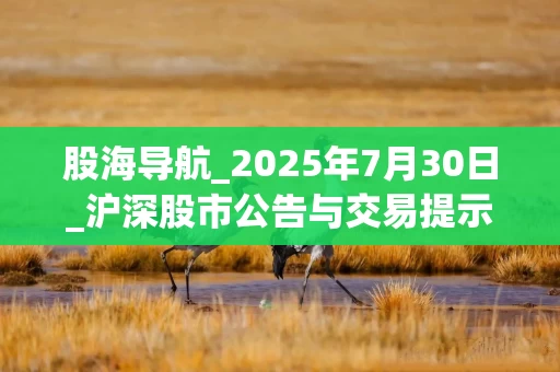 股海导航_2025年7月30日_沪深股市公告与交易提示