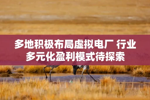 多地积极布局虚拟电厂 行业多元化盈利模式待探索
