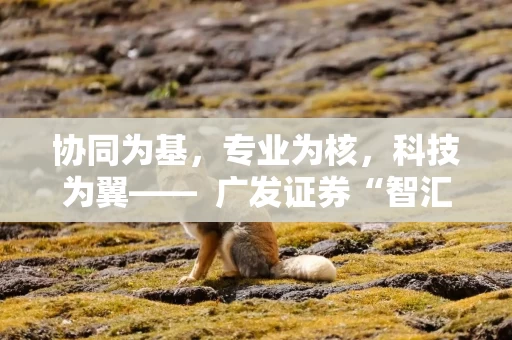 协同为基，专业为核，科技为翼——  广发证券“智汇·企业家办公室”成立一周年服务升级显实效