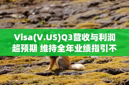 Visa(V.US)Q3营收与利润超预期 维持全年业绩指引不变
