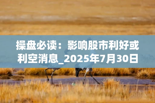 操盘必读：影响股市利好或利空消息_2025年7月30日_财经新闻