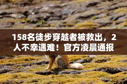 158名徒步穿越者被救出，2人不幸遇难！官方凌晨通报