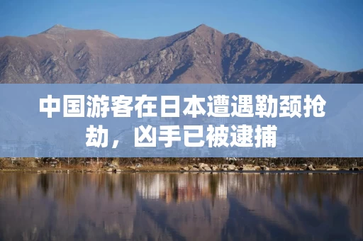 中国游客在日本遭遇勒颈抢劫，凶手已被逮捕