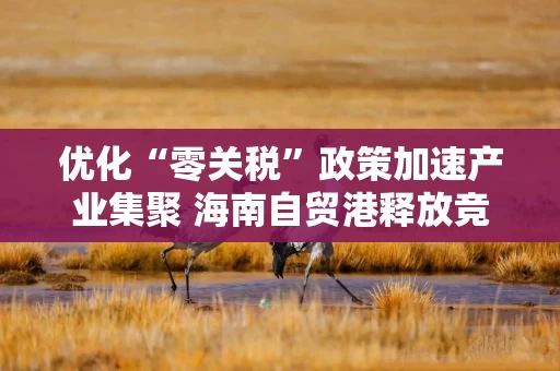 优化“零关税”政策加速产业集聚 海南自贸港释放竞争优势