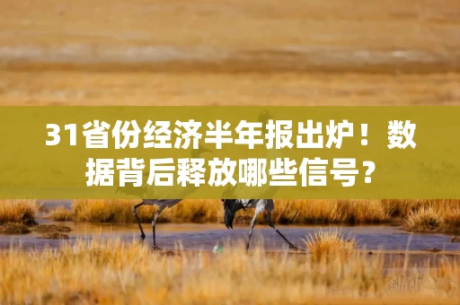 31省份经济半年报出炉！数据背后释放哪些信号？