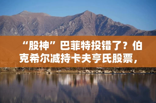 “股神”巴菲特投错了？伯克希尔减持卡夫亨氏股票，现金储备仍处于高位