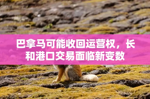 巴拿马可能收回运营权，长和港口交易面临新变数