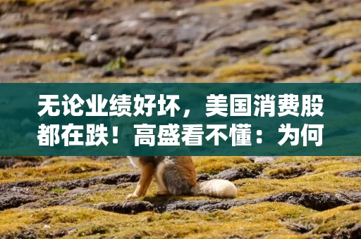 无论业绩好坏，美国消费股都在跌！高盛看不懂：为何“逢低抛售”？