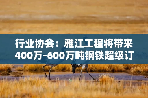 行业协会：雅江工程将带来400万-600万吨钢铁超级订单